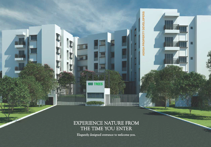 Adiga 100 Trees Mobile Banner