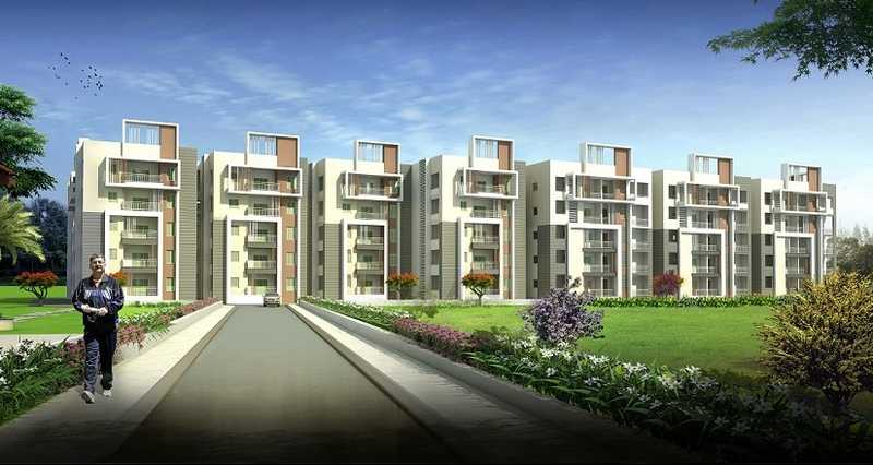 Pavani Divine Desktop Banner