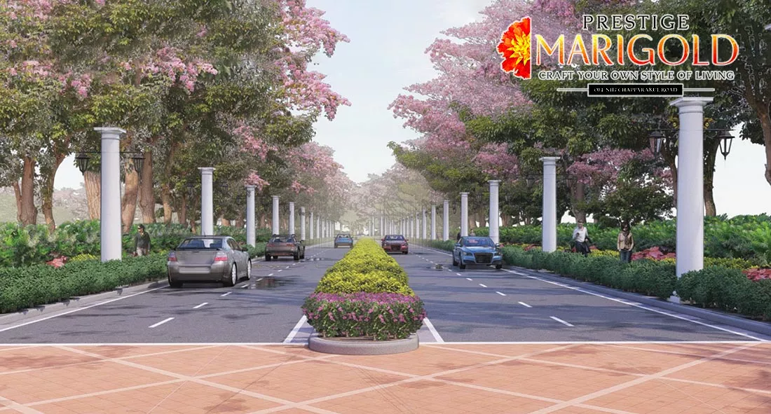Prestige Marigold Desktop Banner