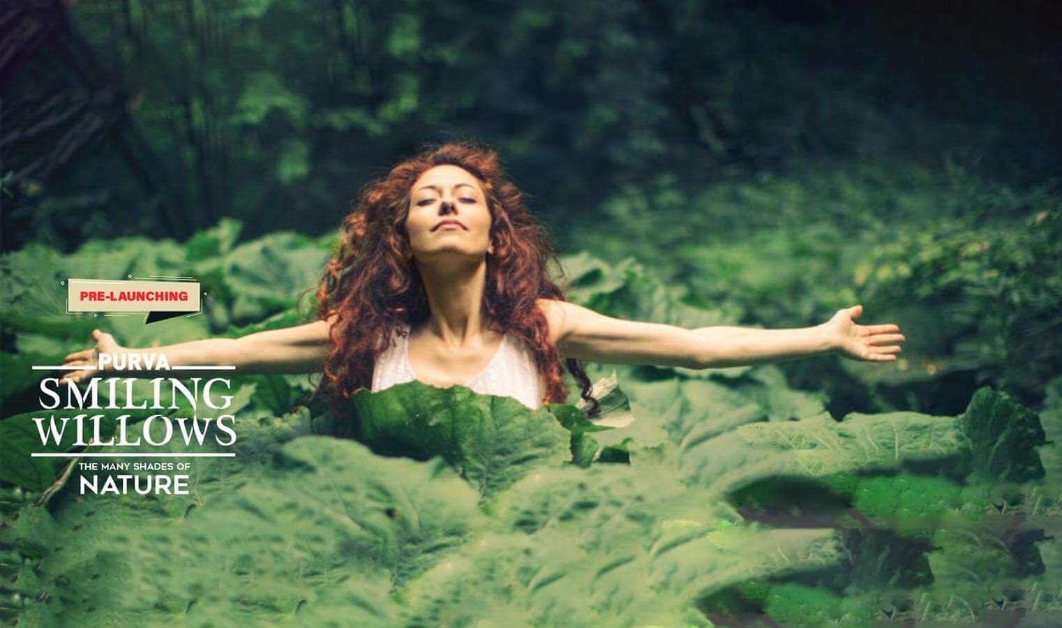 Purva Smiling Willows Desktop Banner
