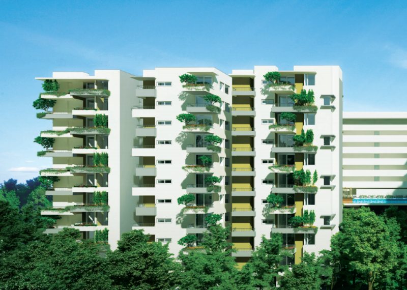 Manbhum Around The Grove Desktop Banner